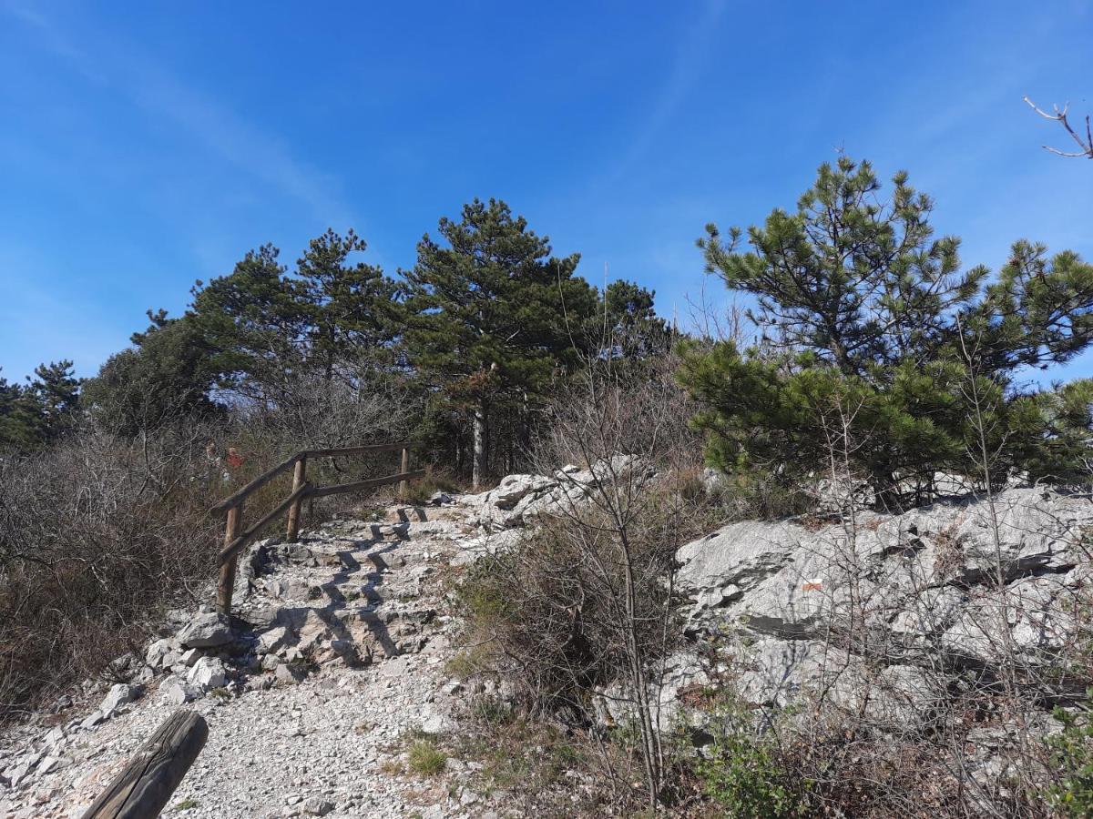 Agriturismo Ai Tre Sentieri Duino-Duino-Aurisina Zewnętrze zdjęcie