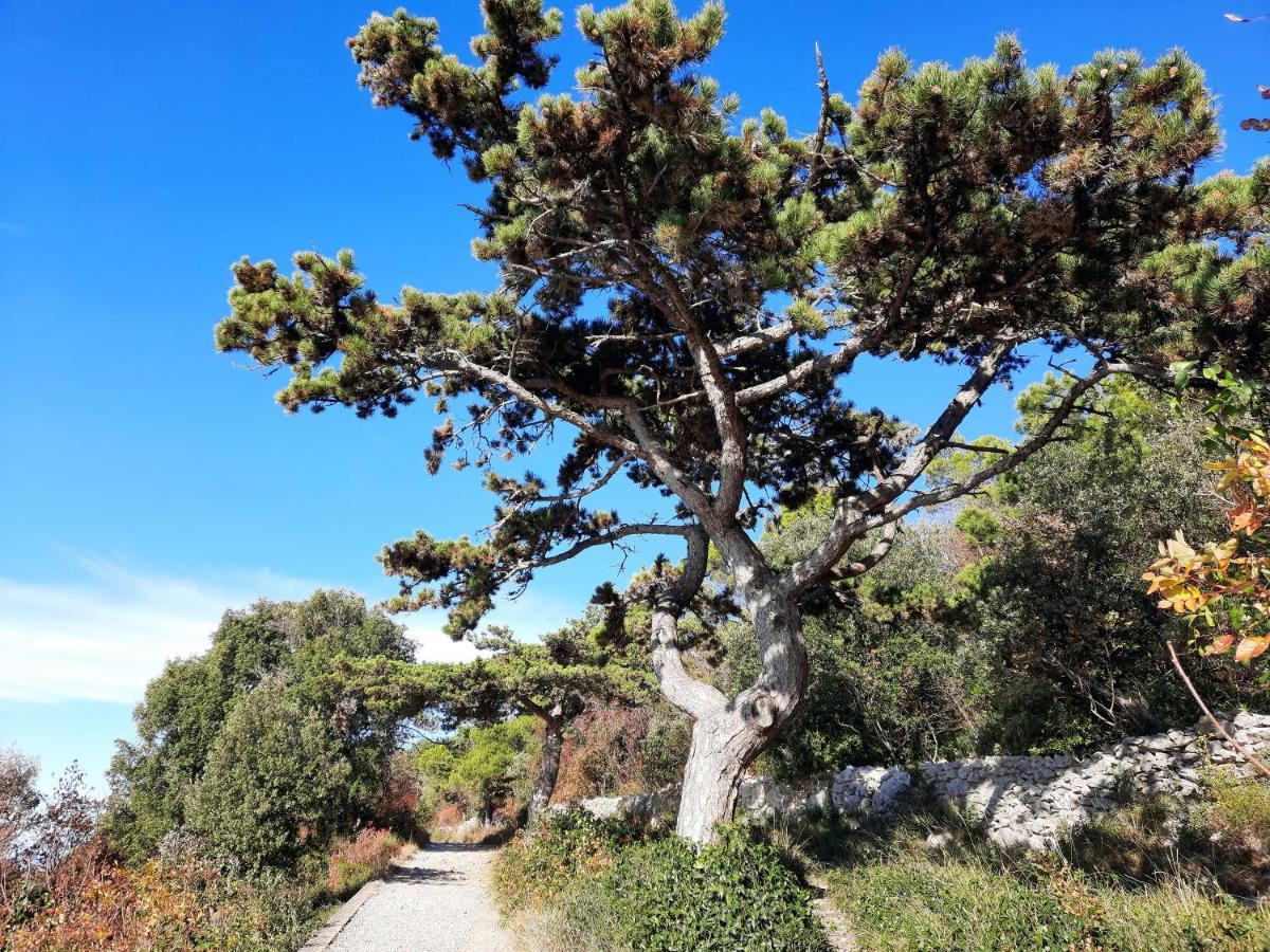 Agriturismo Ai Tre Sentieri Duino-Duino-Aurisina Zewnętrze zdjęcie